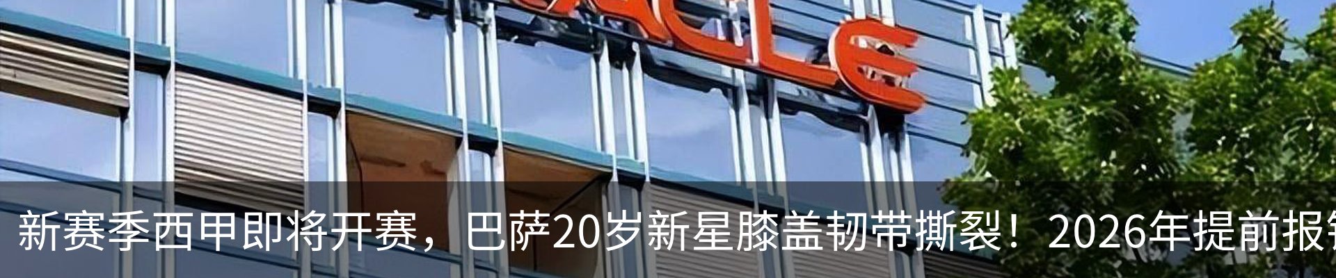 最新动态